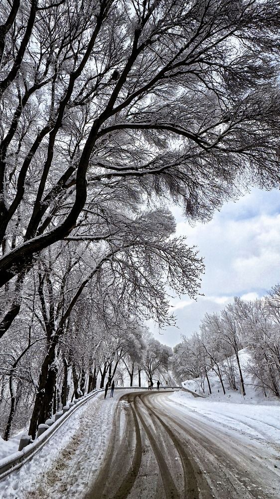 Зимние следы от машин на дороге в горах