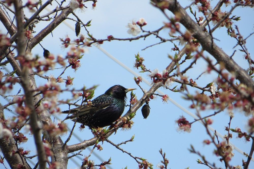 Photograph by Татьяна Поминова