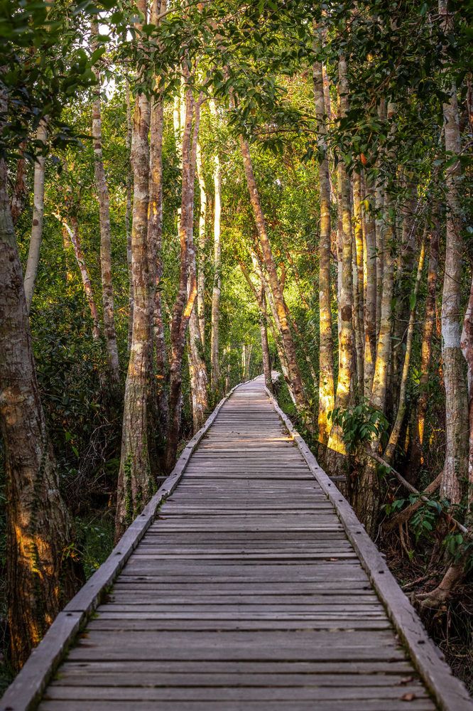 Photograph by Julien Pröpper