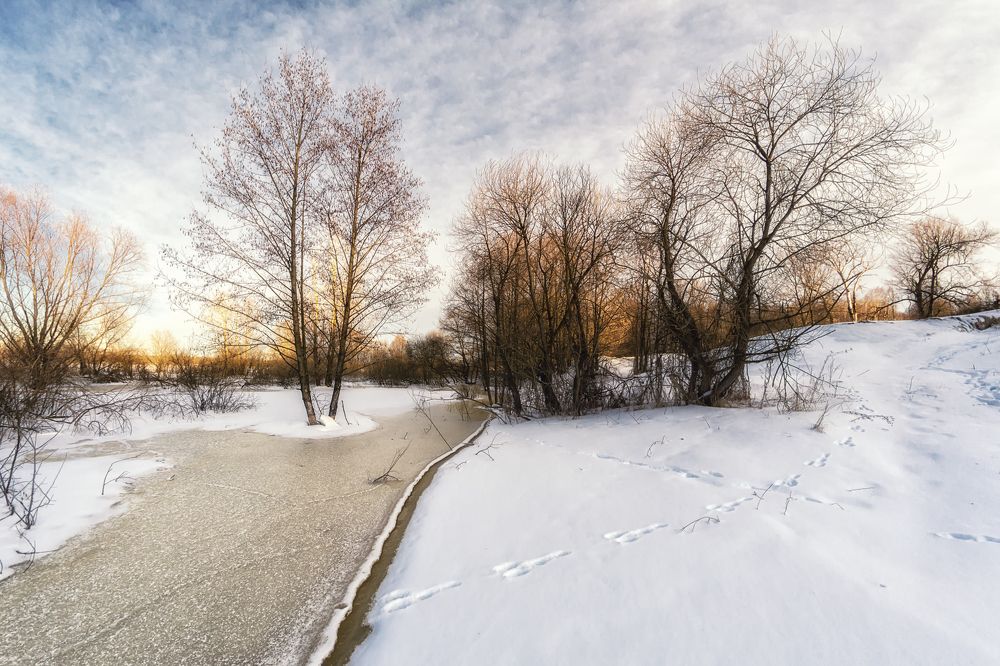 Photograph by Сергей Дишук