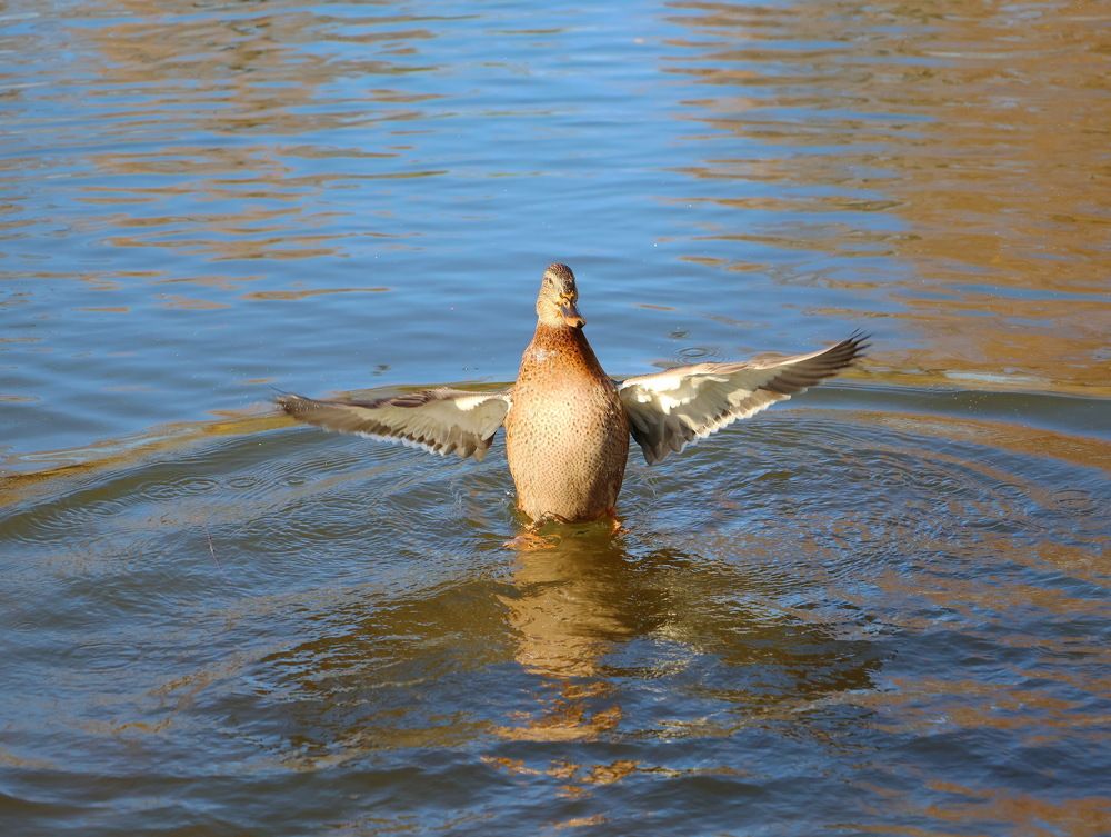 Photograph by Серёга Ануфриев