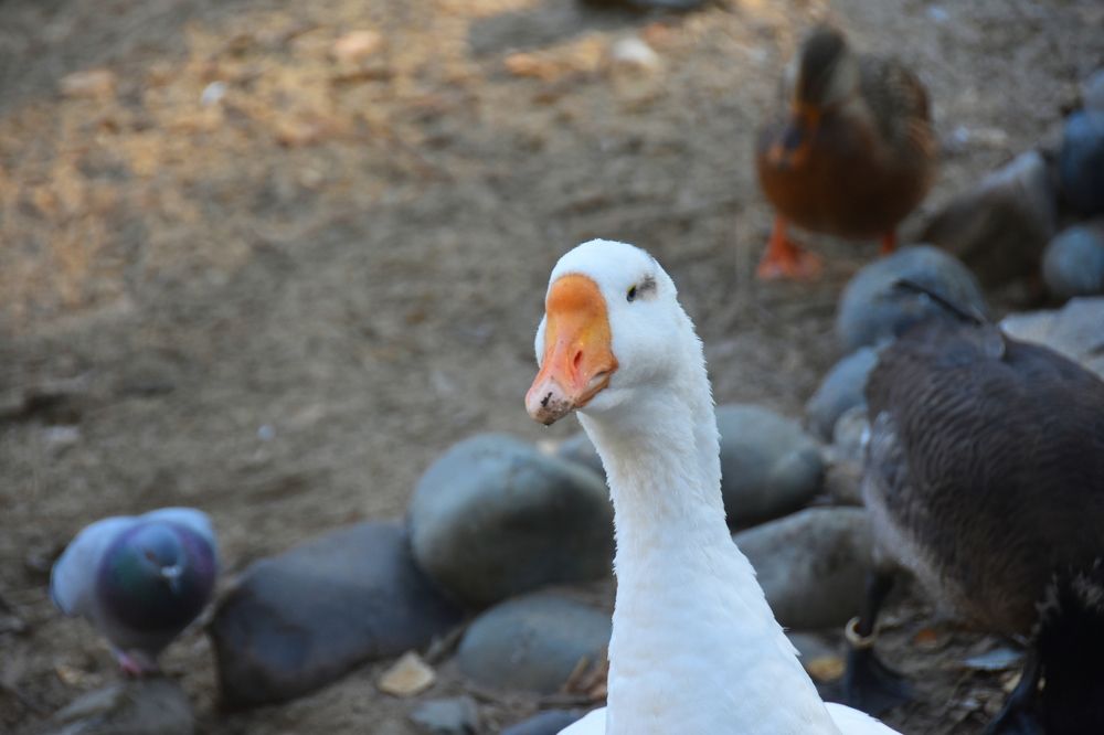 Photograph by Евгений Захаров