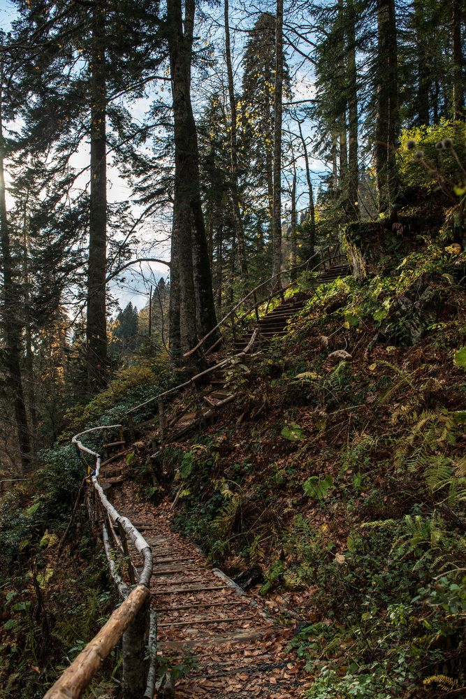 Photograph by Евгений Моляшов