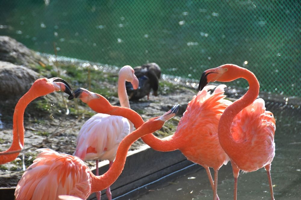 Photograph by Евгений Захаров