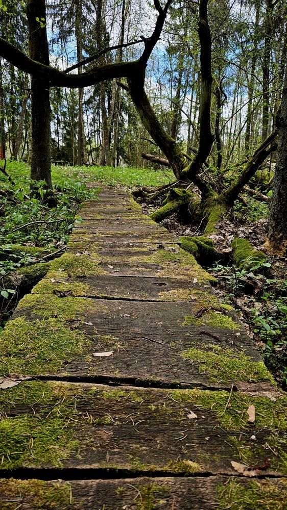 Photograph by Наталья Пагоцкая