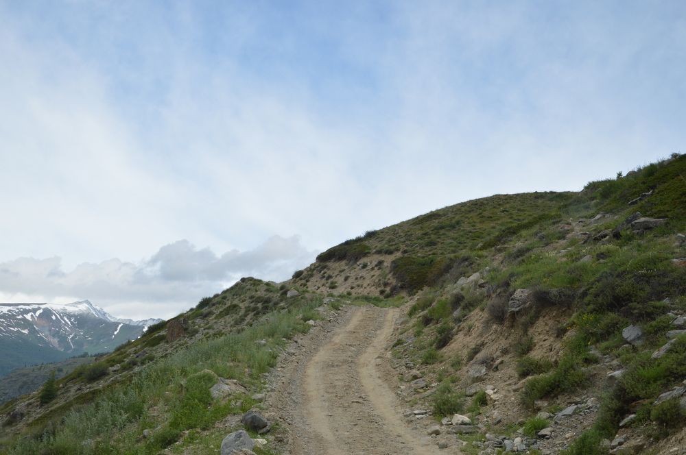 Photograph by Татьяна Ненюхина