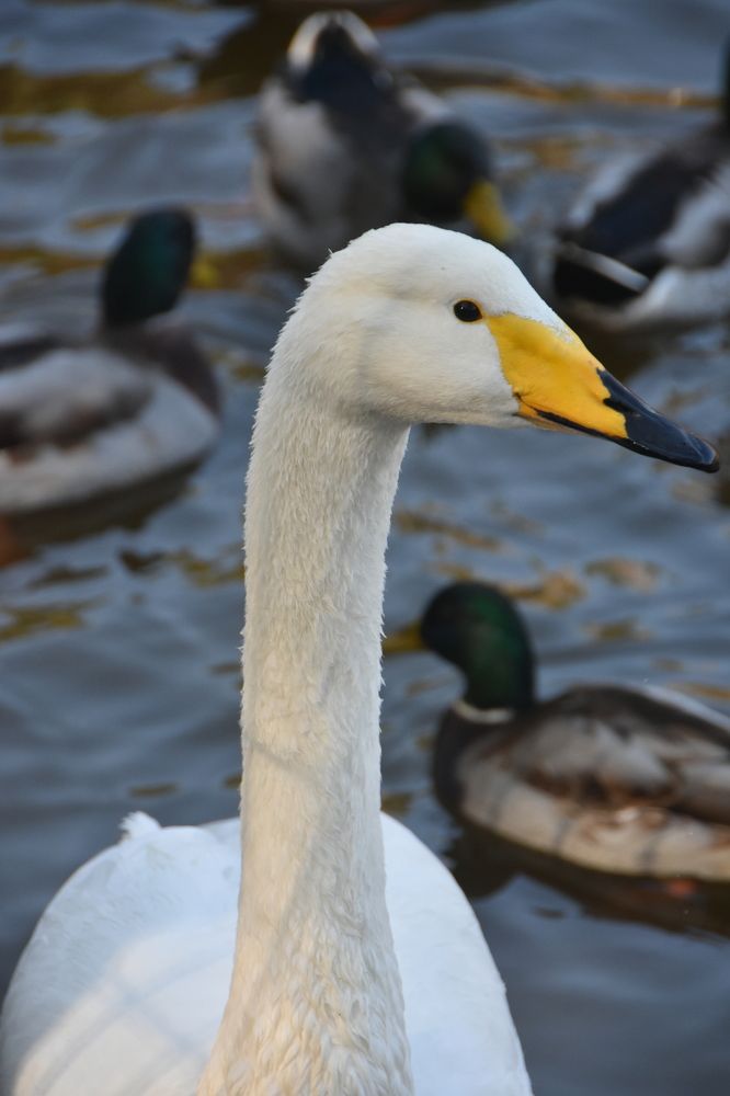 Photograph by Евгений Захаров