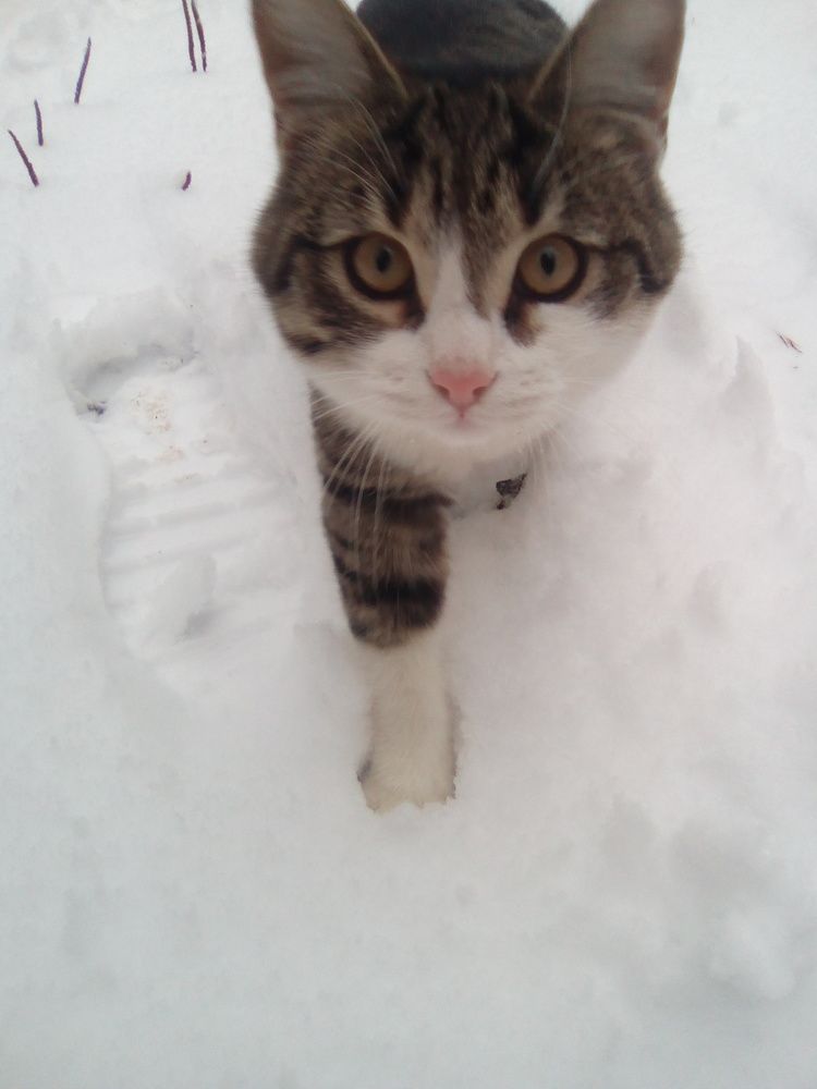 Photograph by Светлана Петрова