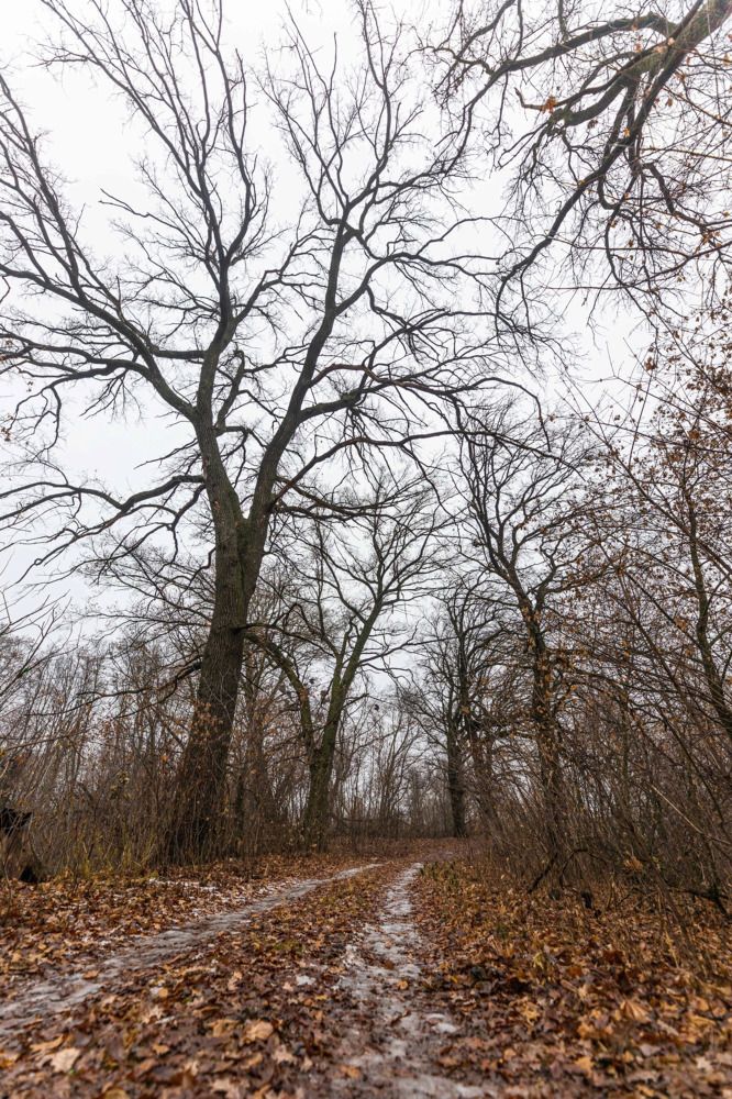 Photograph by Ирина Левакова