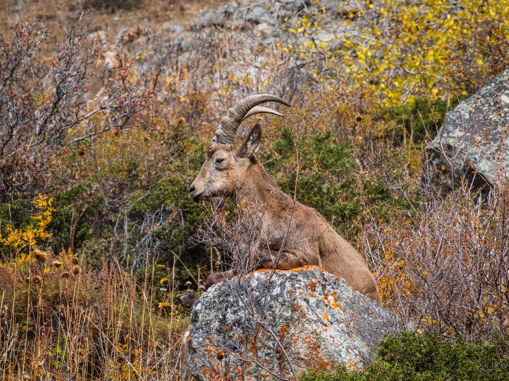 Фотография автора Татаринов Валерий