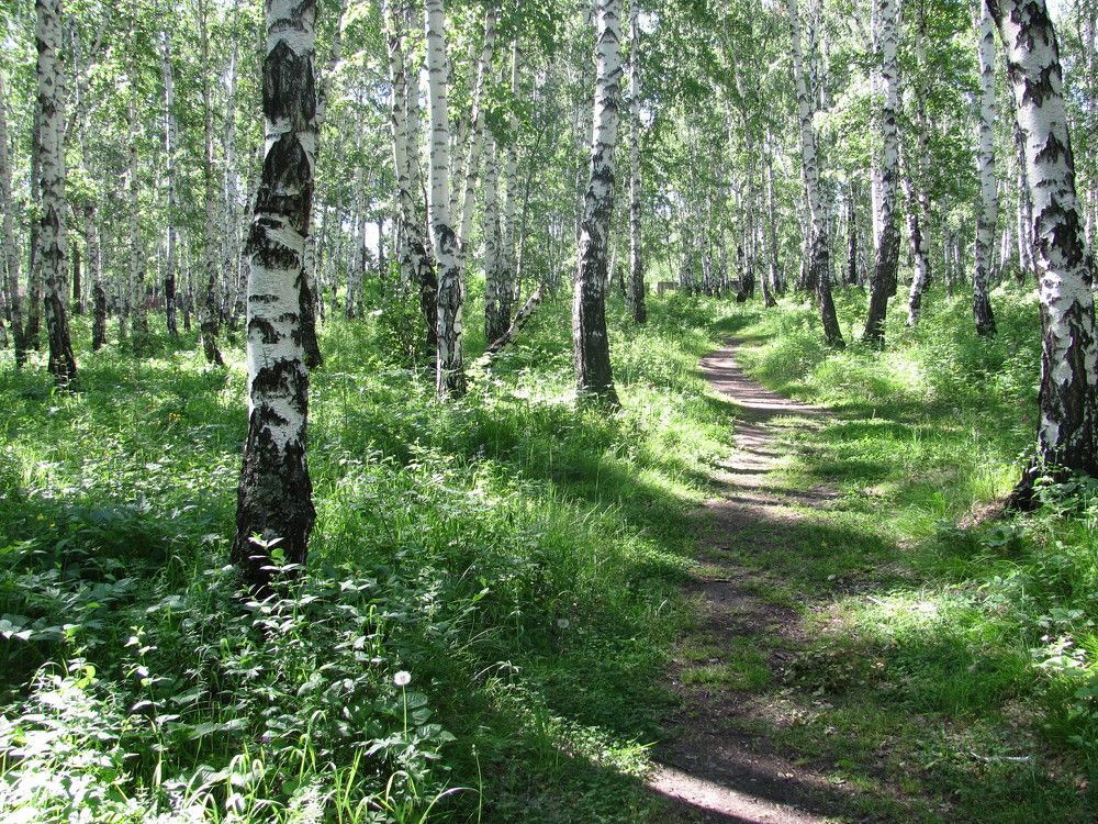 Photograph by Петр Нефедьев