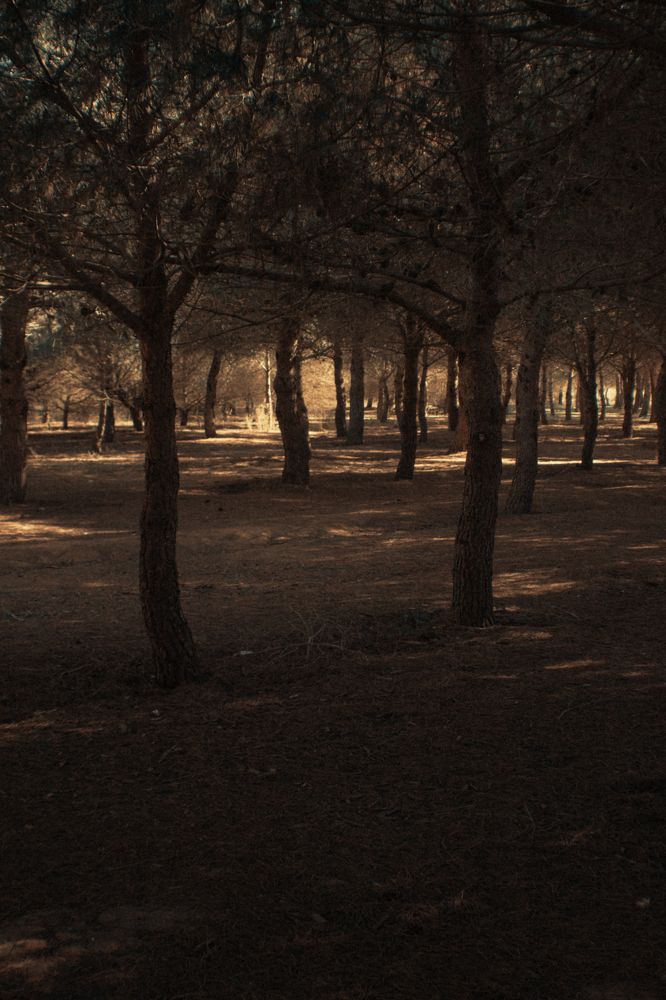 Photograph by Fábio Martins