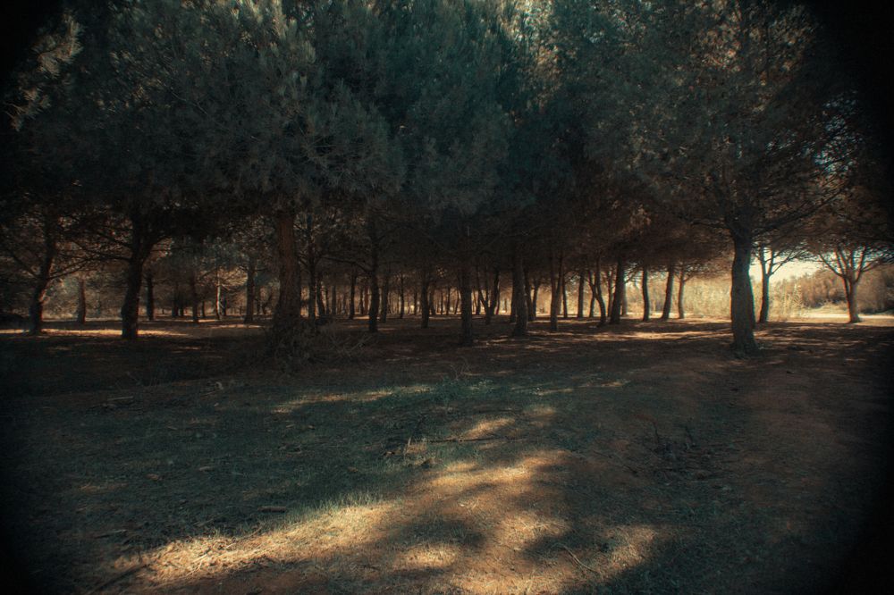 Photograph by Fábio Martins