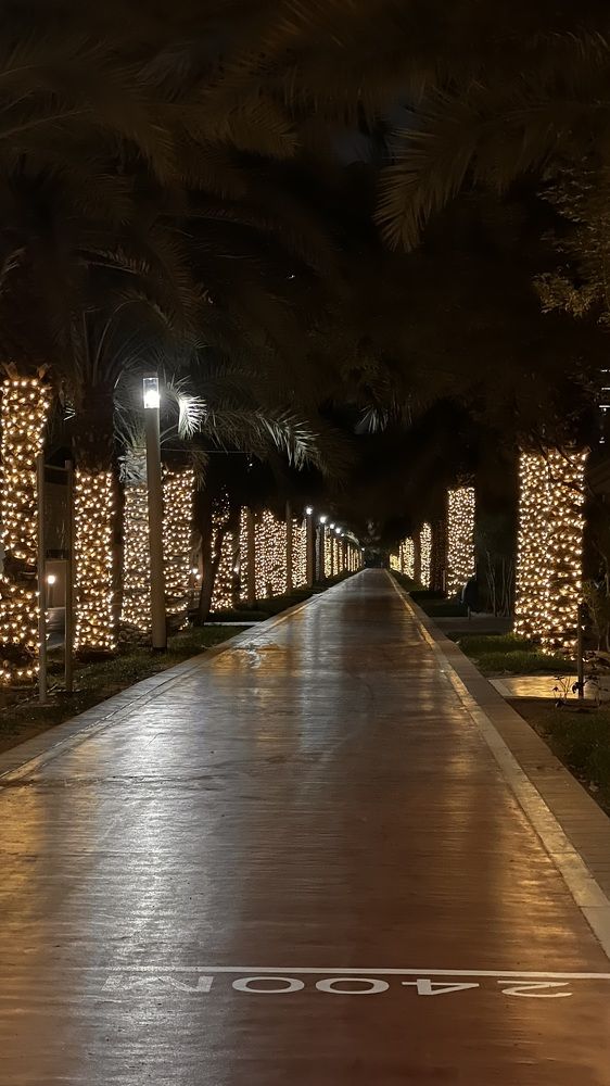 Фотография автора Sarrah Yehia