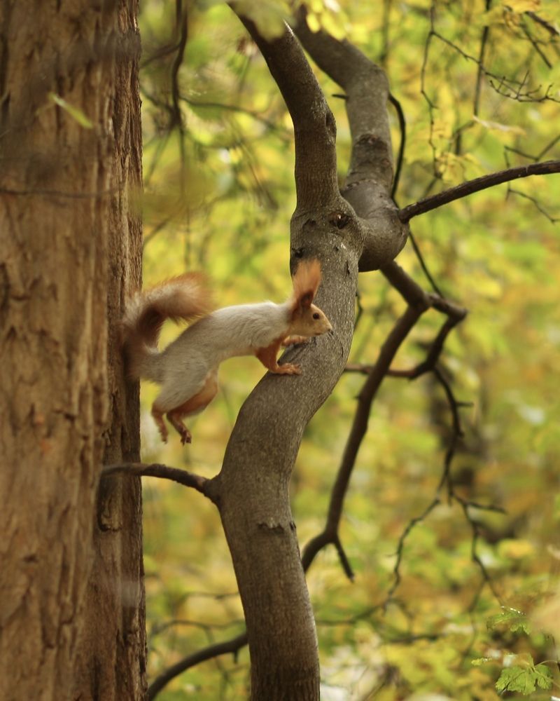 Photograph by Затямин Александр