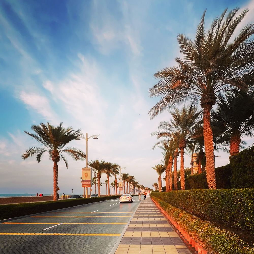 Фотография автора Sarrah Yehia