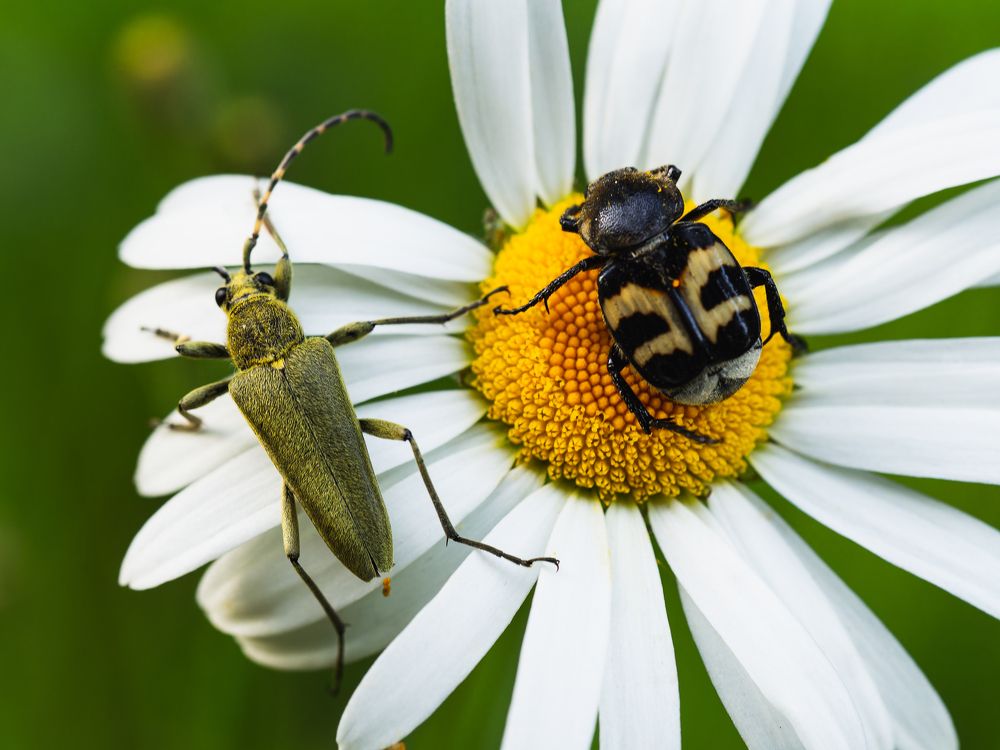 Фотография автора Татаринов Валерий