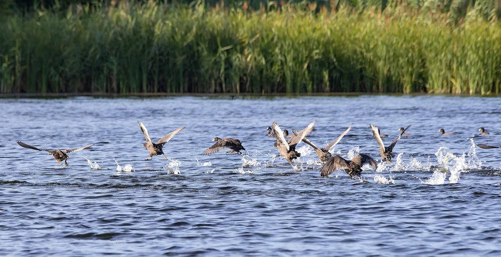 Photograph by Вячеслав Кровопусков