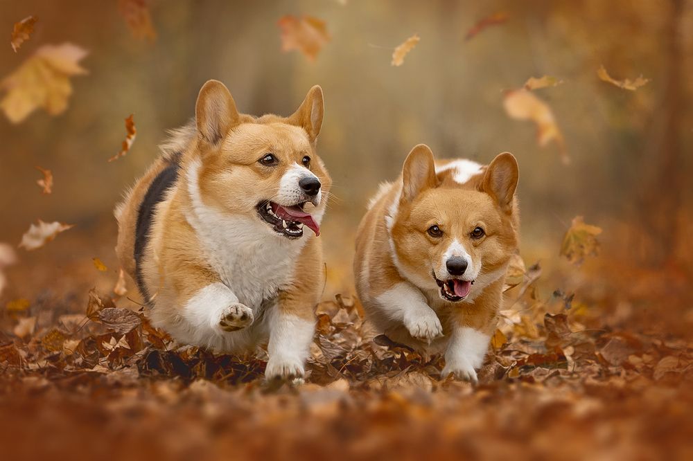 Photograph by Ольга Легенькая