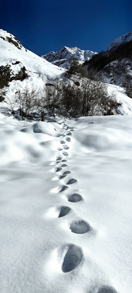 По пути на Клухорский перевал