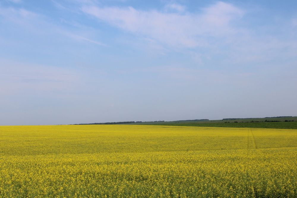 Photograph by Елена Коробченко