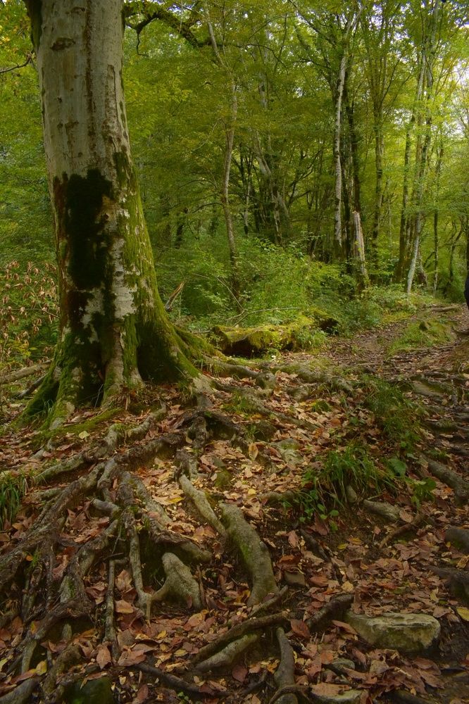 Фотография автора лилия беланова