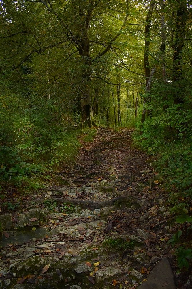 Фотография автора лилия беланова