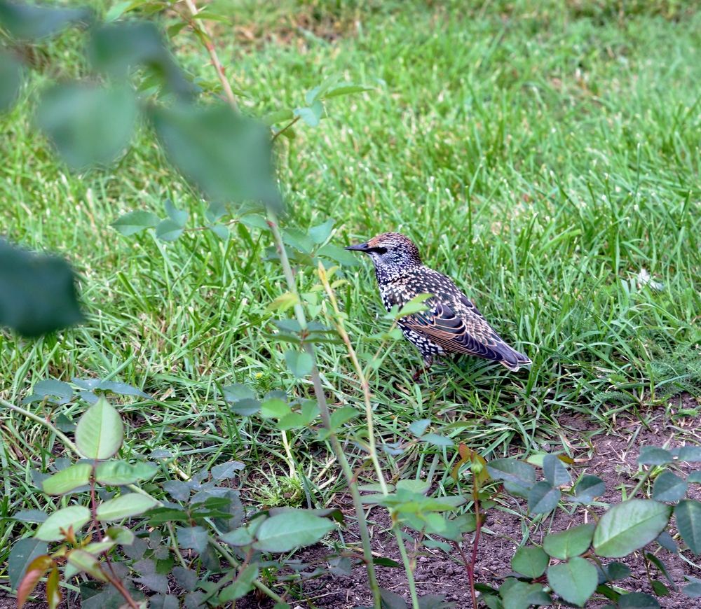 Photograph by Михаил Король