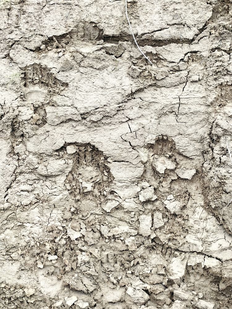 Photograph by Алексей Швайка