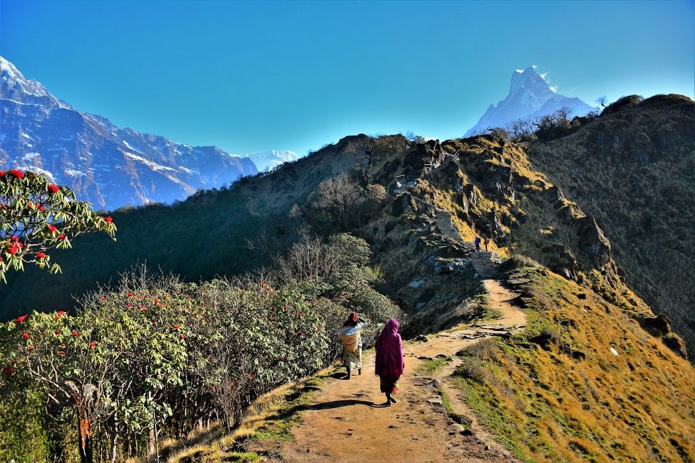 Фотография автора Linards Onzuls