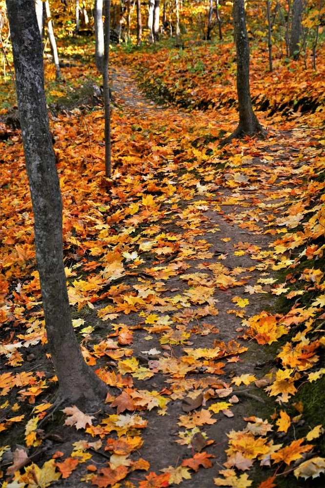 Фотография автора Linards Onzuls