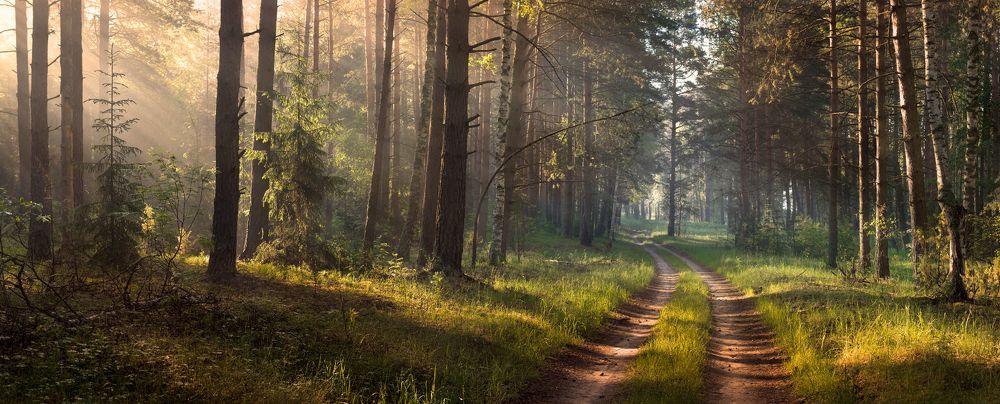 Photograph by Алексеев Дмитрий