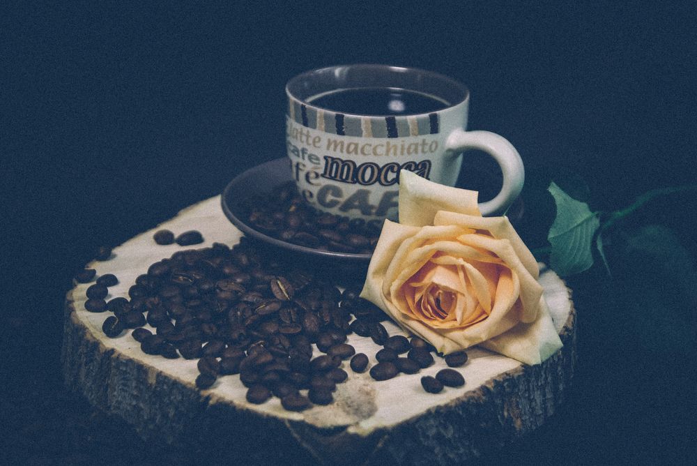 Photograph by Евгения Сенченко
