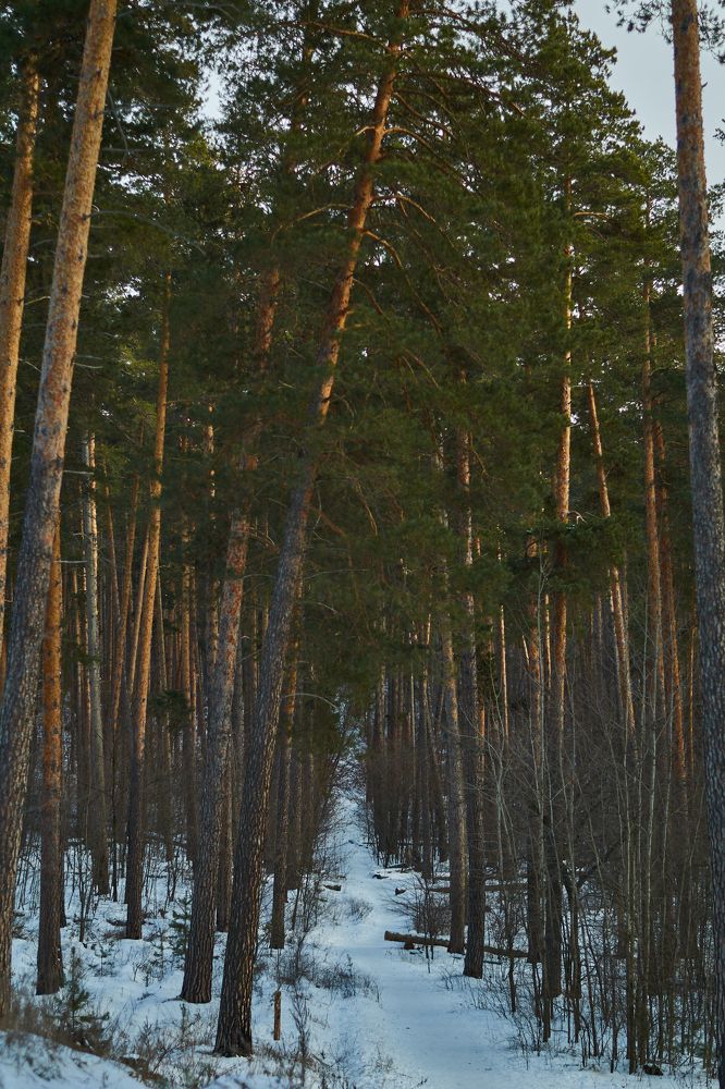 Photograph by Мария Артемова