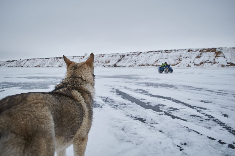 Photograph by Мария Артемова