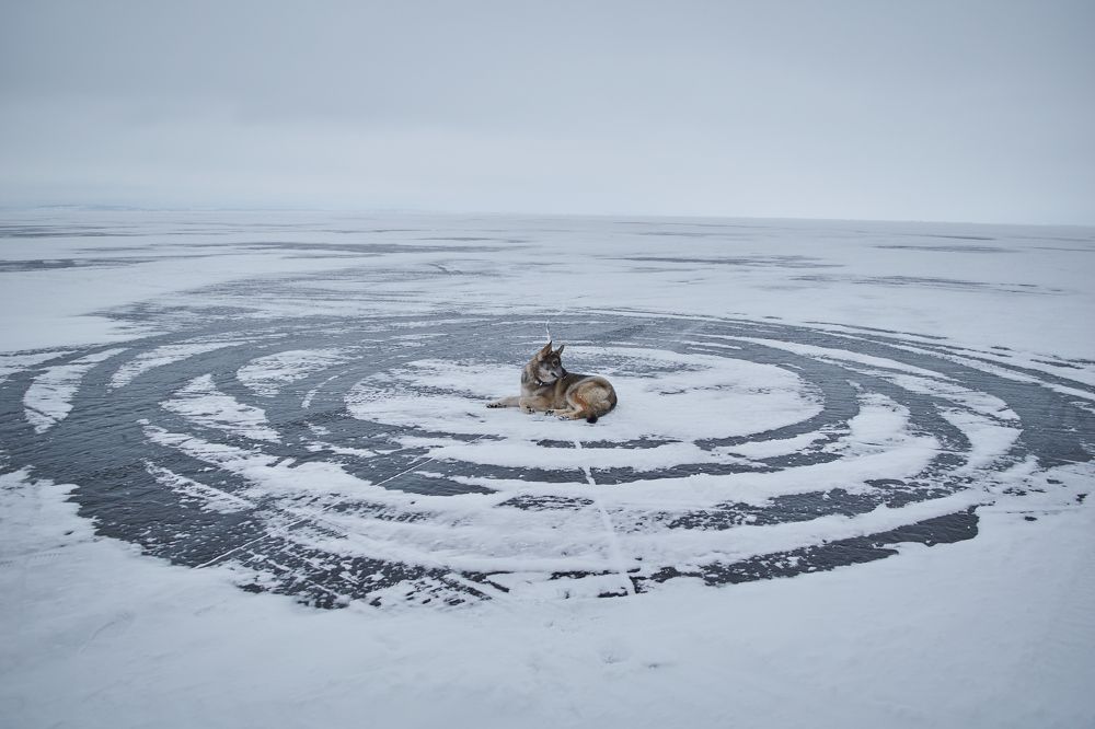 Photograph by Мария Артемова