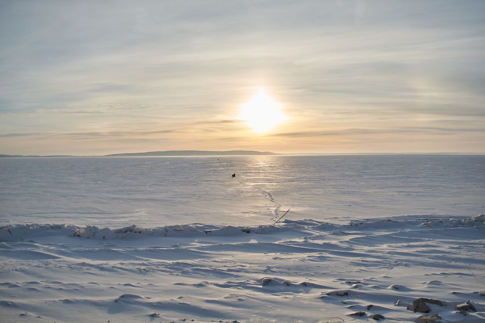 Photograph by Мария Артемова