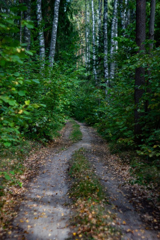 Photograph by Дмитрий Кашицин