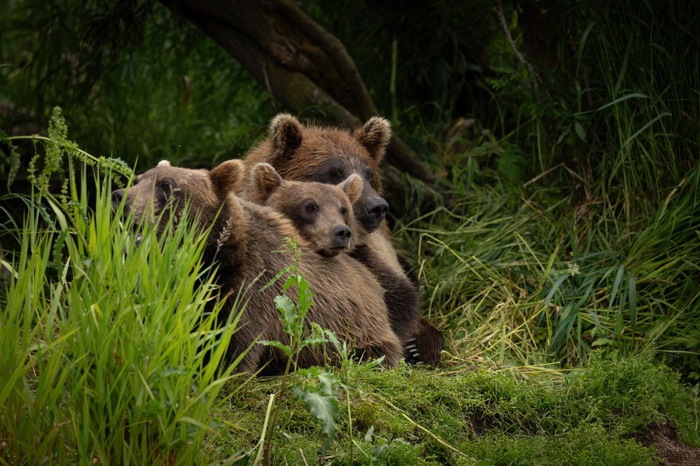 Photograph by Галина Павлова