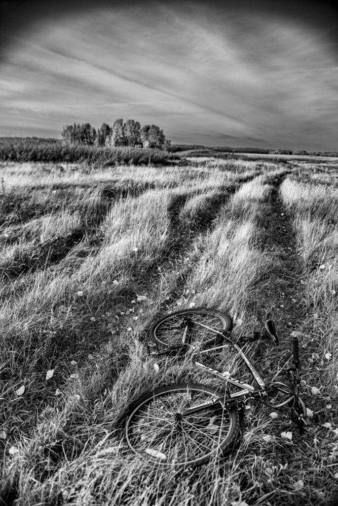 Photograph by Михаил Соколов