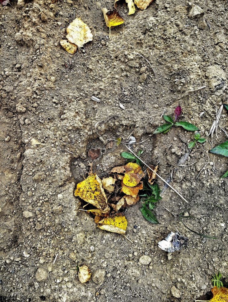 Photograph by Алексей Швайка