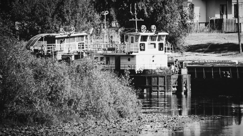 Photograph by Mishel Photographer