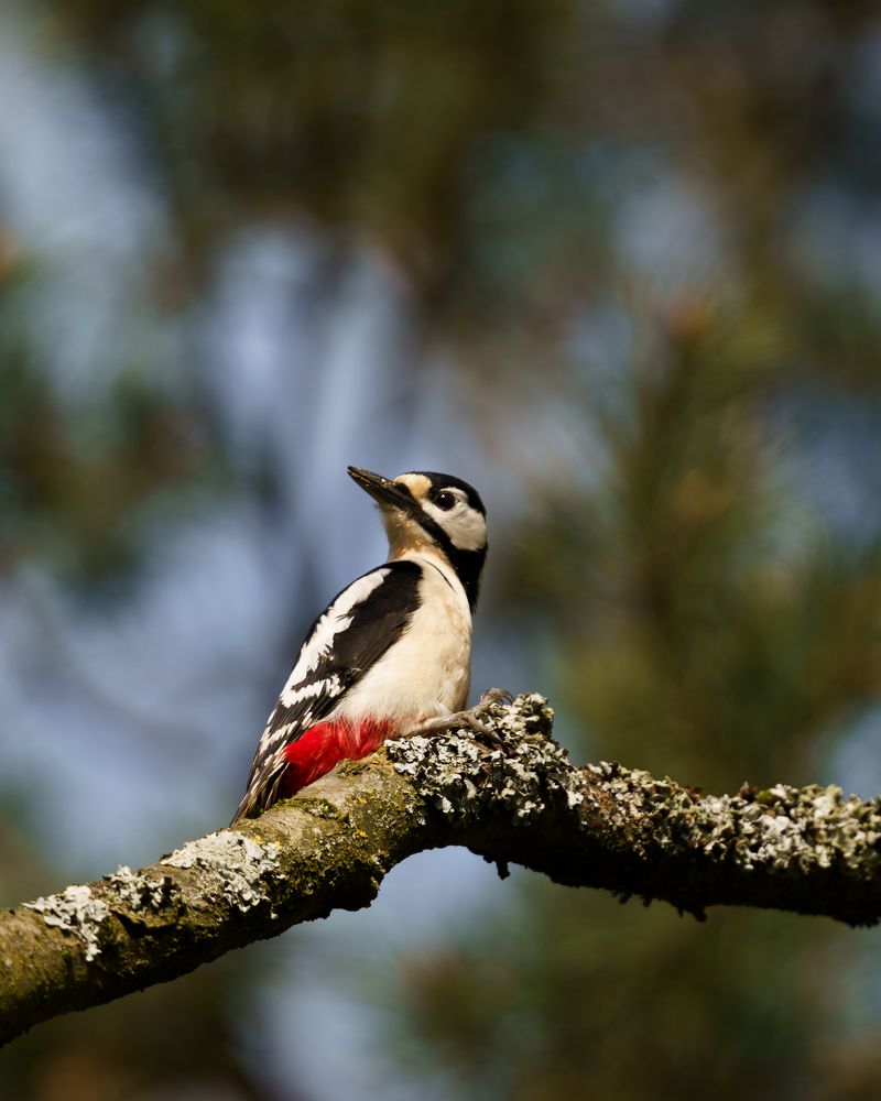 Photograph by Ольга Войчишина