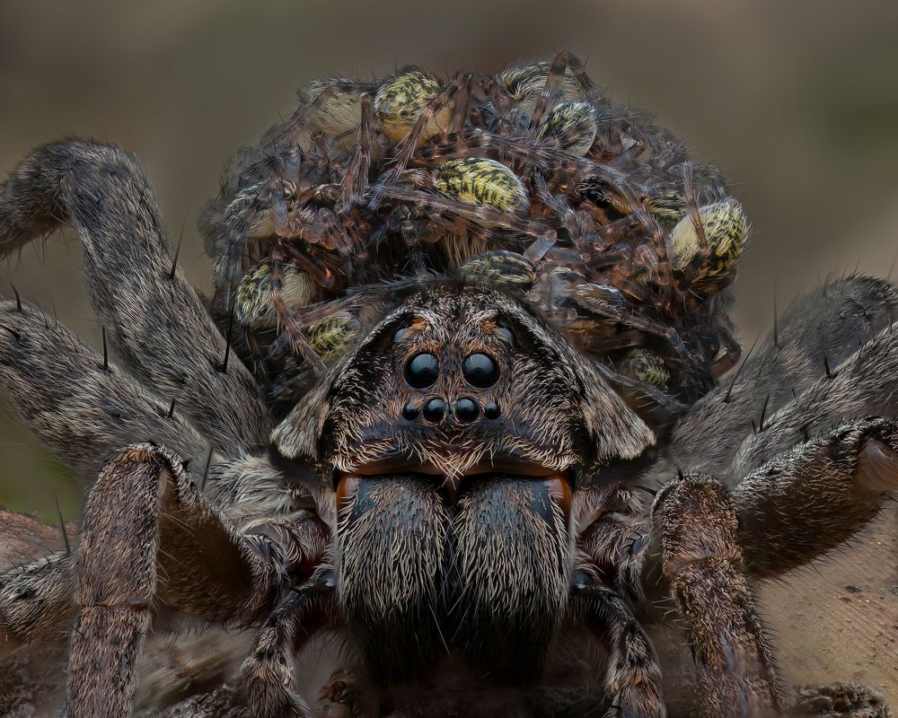 Photograph by Craig Loechel