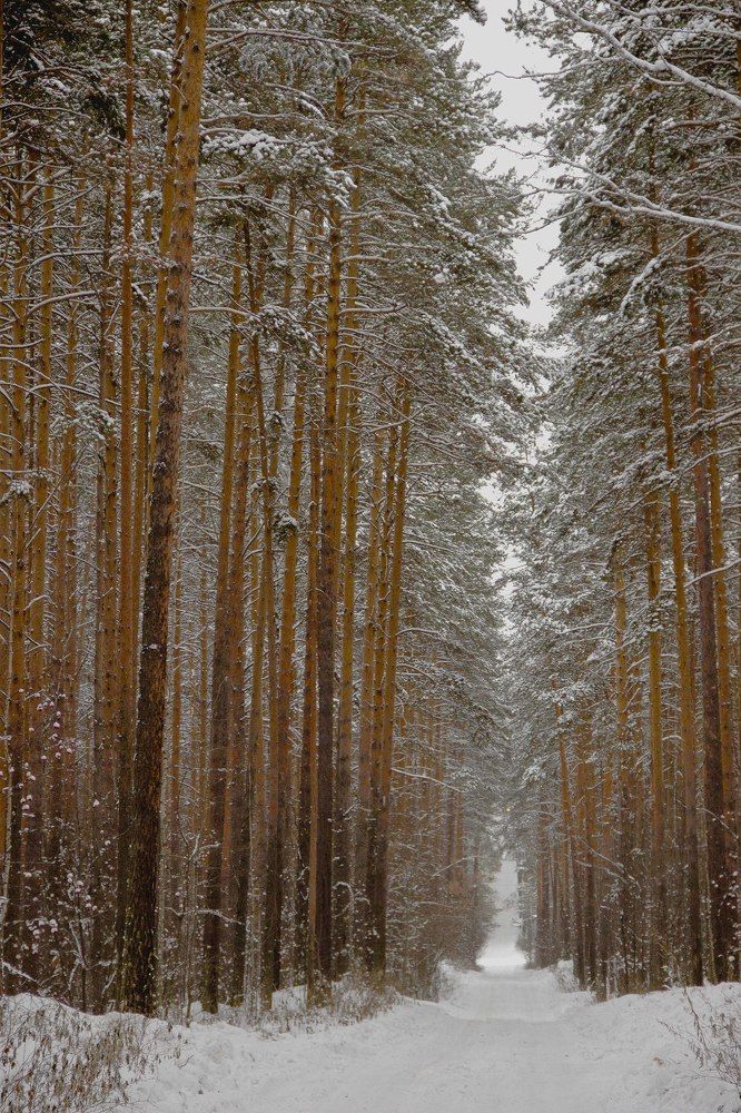 Photograph by Максим Фролов