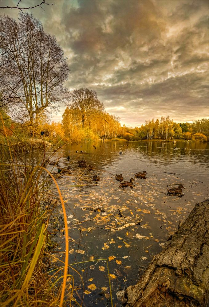 Photograph by Александр Разумов