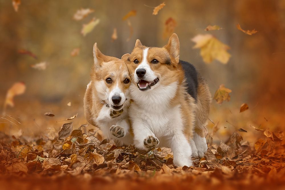 Photograph by Ольга Легенькая