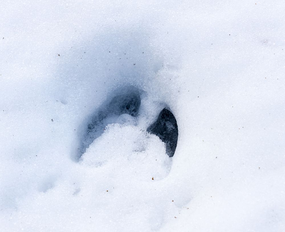 Photograph by Максим Фролов