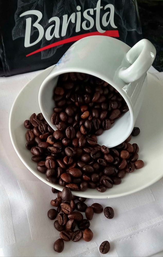 Фотография автора Марина Новикова