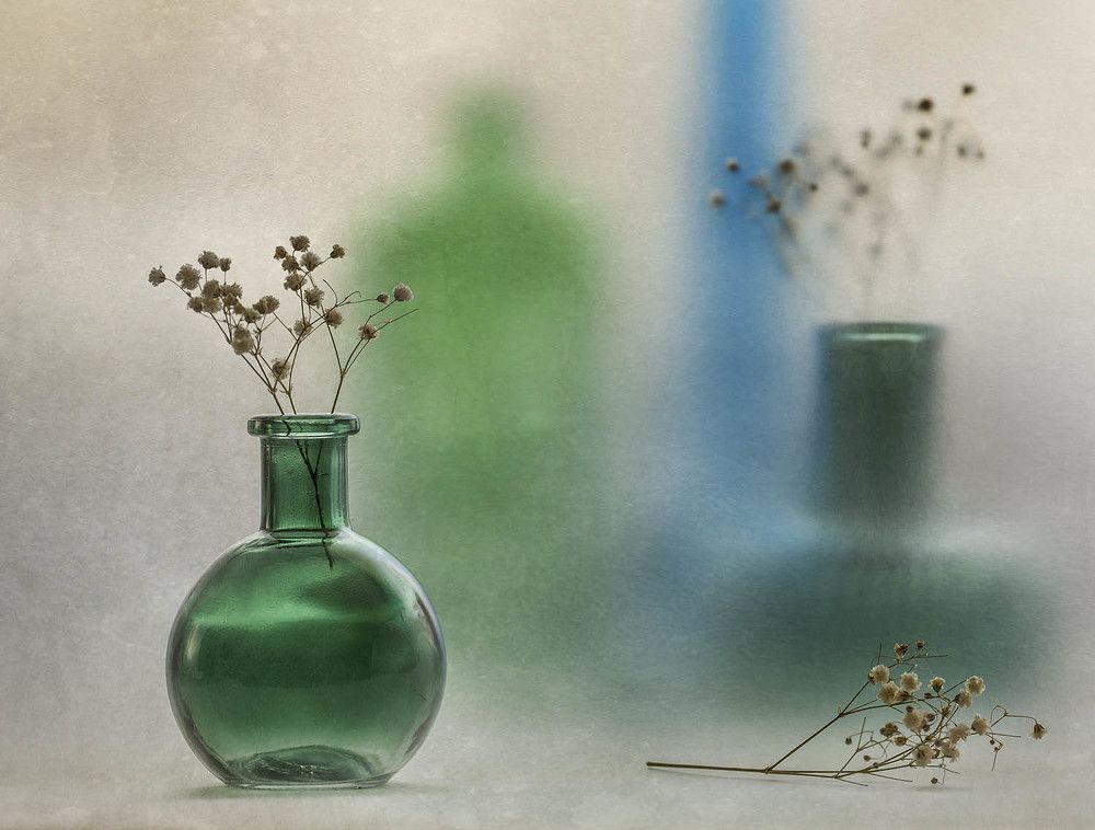 Photograph by Солодар Виктория